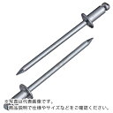 エビ ブラインドリベット(スティール/スティール製) 4-3(1000本入) 箱入 ( NS43 ) (株)ロブテックス(4)