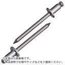 エビ ブラインドリベット(ステンレス/ステンレス製) 6-2(1000本入) 箱入 ( NST62 ) (株)ロブテックス