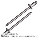 エビ ブラインドリベット(ステンレス/ステンレス製) 3-2(300本入) エコBOX ( NST3-2EB ) (株)ロブテックス