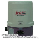 TERADA 浅井戸用ホームポンプ 60HZ ( THP-81KS 60HZ ) (株)寺田ポンプ製作所 【メーカー取寄】
