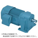 シグマー　平行軸三相0．4Kwブレーキ付脚取付形減速機　減速比1／200　 TMLB2-04-200 ( TMLB204200 ) シグマー技研（株）