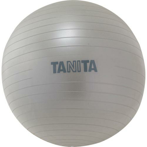 【SALE価格】TANITA　TANITA　ジムボール　 TS-962-SV ( TS962SV ) （株）タニタ