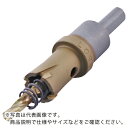 【SALE価格】エビ 超硬ホルソー(チタンコーティング) 18mm ( HO18G ) (株)ロブテックス