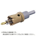【SALE価格】エビ 超硬ホルソー(チタンコーティング) 27mm ( HO27G ) (株)ロブテックス