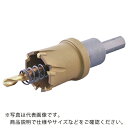 【SALE価格】エビ 超硬ホルソー(チタンコーティング) 28mm ( HO28G ) (株)ロブテックス