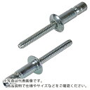 【SALE価格】エビ 高強度ブラインドリベット Sボルト(丸頭) Φ6.4/板厚9.5mm (100本入) ( SNS64095EB ) (株)ロブテックス