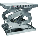 Bishamon ステンテーブルリフト 均等荷重1000kg テーブル寸法600×780mm ( 2X1000607AB-HL ) (株)スギヤス 【メーカー取...