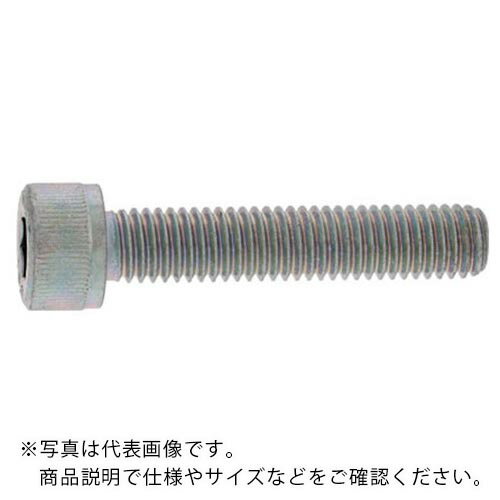 SUNCO ニッケル CAP(全ネジ 6×70×70 (6本入) ( A0-00-0010-0060-0700-05-6 ) サンコーインダストリー(株) 【メーカー取寄】