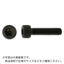 SUNCO A2-100 ステンCAP 12×65 (1本入) ( A0-02-0300-0120-0650-00-1 ) サンコーインダストリー(株) 【メーカー取寄】(4)