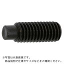 SUNCO HS(棒先 10×45 (6本入) ( A0-00-5030-0100-0450-00-6 ) サンコーインダストリー(株) 【メーカー取寄】(4)