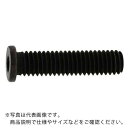 SUNCO ステンレス 小頭NSローヘッド 10×25 (2本入) ( A0-02-L350-0100-0250-00-2 ) サンコーインダストリー(株) 【メーカー取寄】(4)