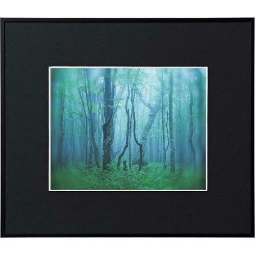 ۴ɺץ ȥ㤨Kenko 1250129 ߳۱ ꡼ 6 ֥å ( AGY-6-BK (󥳡ȥʡ ڥ᡼ۡפβǤʤ4,095ߤˤʤޤ