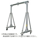 江崎　アルミ合金製門型クレーンSL型（省スペースタイプ）　定格荷重500kg SL35-S35-LH-500 ( SL35S35LH500 ) 江崎機械工業（株）