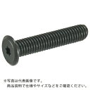 TRUSCO ヘックスローブ超極低頭ねじ ステンレス 黒染 M2.6×12 10本入 ( B185-2612 ) トラスコ中山(株)(4)