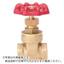 TBC ゲートバルブ ( 112GBV ) (株)タブチ 【メーカー取寄】
