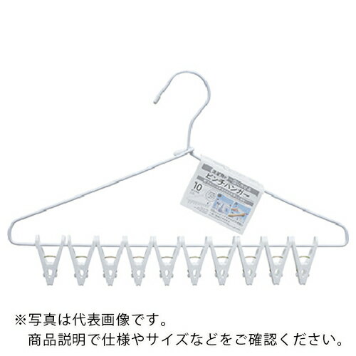 【SALE価格】KOKUBO　洗濯物が一度に外せるピンチハンガー10ピンチ付 ( 3854 ) （株）小久保工業所