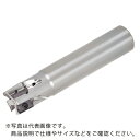 タンガロイ タング・フォース・レック 柄付きカッタ EPAV12 ( EPAV12M020C20.0R03 ) (株)タンガロイ(4)