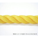 グリーンクロス　ポリエチレンロープ　黄　10mm　100m巻　 ( 6300040576 ) （株）グリーンクロス