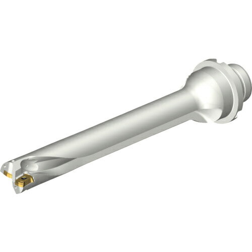 サンドビック コロドリルDS20刃先交換式ドリル(465) ( DS20-D2000DM25-07 (465) ) サンドビック(株)コロマントカンパニー ( I8X04 )