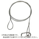 【SALE価格】共成 落下防止ステンレスワイヤー線径2mm(2本セット)2000L ( 2-2000 ) (株)共成(4)