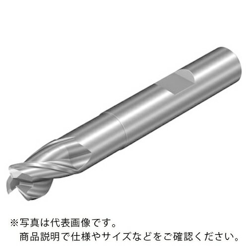 サンドビック　コロミルDura一般加工用超硬エンドミル（732）　H10F ( 1K223-1000-300-NH H10F ) サンドビック（株）コロマントカンパニー ( BBAIF )