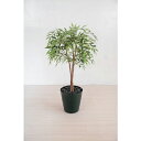 グリーンクロス 人工樹木/人工観葉植物 シラカシ ( 6300028760 ) (株)グリーンクロス 【メーカー取寄】