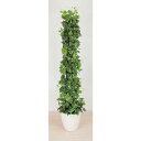 グリーンクロス 人工樹木/人工観葉植物 ポトス ( 6300033749 ) (株)グリーンクロス 【メーカー取寄】
