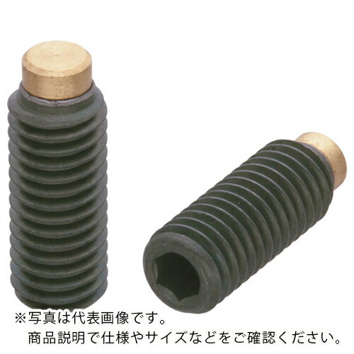 kipp パッド付きスクリュー ( HSSB06X20.5 ) (株)イマオコーポレーション 【メーカー取寄】(4)