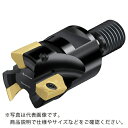 ワルター　90°肩削りカッター M5130-020-TC10-03-09 ( M5130020TC100309 ) ワルタージャパン（株）