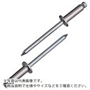 【SALE価格】エビ ブラインドリベット(ステンレス/スティール製) 8-8(100本入) エコBOX ( NSS 8-8EB ) (株)ロブテックス