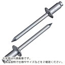 【SALE価格】エビ ブラインドリベット(スティール/スティール製) 8-8(100本入) エコBOX ( NS8-8EB ) (株)ロブテックス