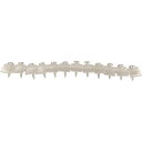 DAIDOHANT ショート連結波板ビス 12連×2本(24本入) 4.2×23mm クリア ( 10176068 ) (株)ダイドーハント