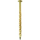DAIDOHANT SP真鍮スクリュー釘丸頭400g #12×50 ( 00046857 ) (株)ダイドーハント