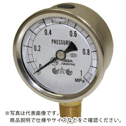 右下 グリセリン入圧力計 ( GLT-117-1MPA ) 右下精器製造(株) 【メーカー取寄】