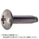 TRUSCO トラス頭タッピングねじ 3種溝付C1 三価白 M4×20 260本入 ヘキサゴンパック ( S046-0420 ) トラスコ中山(株)(4)