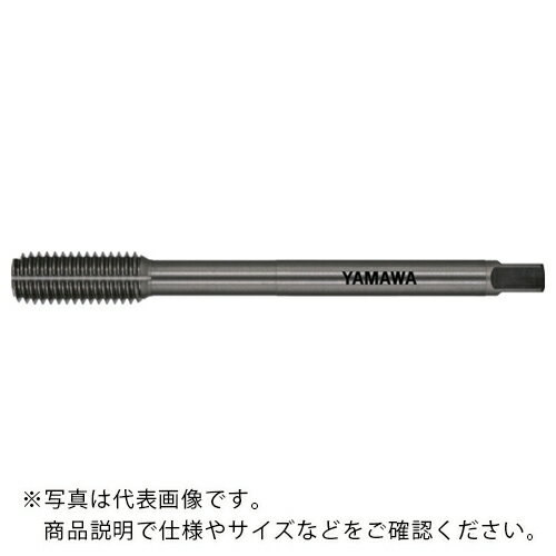 ޥ Ŵѥ륿å LS-N-RS L100 G7 M6X1 B ( LS-N-RS-F-G7-100-M6X1-B ) ()