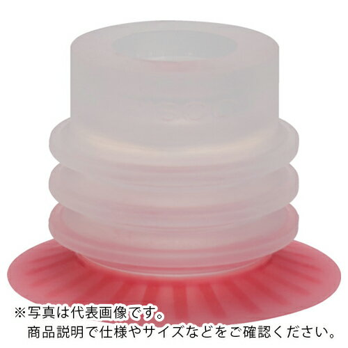 PISCO ѥå ( VP30PBS23 ) ()ܥԥ