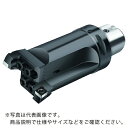 Walter 2 枚刃ボーリング工具 ( B3220.C5.055-070.Z2.CC09 ) ワルタージャパン(株) 【メーカー取寄】(4)