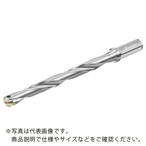 Walter チップ交換式ドリル D4140 ( D4140.10-25.00F26-G ) ワルタージャパン(株) 【メーカー取寄】