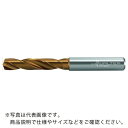 Titex 内部クーラント仕様超硬ドリル ( DC160-03-10.100A1-WJ30ET ) ワルタージャパン(株) ( BEDAG )(4)