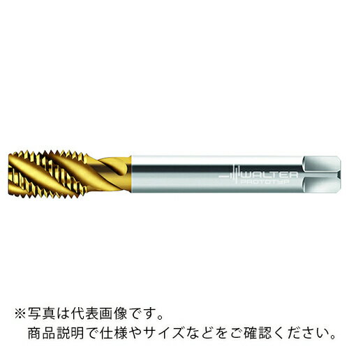 Prototyp HSS-E マシンタップ ( TC115-M20-L0-WY80AA ) ワルタージャパン(株) ( BDBXL )