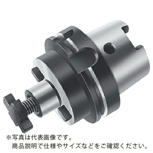 ワルター フェースミルアダプター ( A155.7.100.050.22.HSK ) ワルタージャパン(株) ( BFCYU )(4)