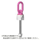 RUD バリオリングロングボルトタイプ VWBG M22L ( VWBG-M22L ) (株)ルッドスパンセットジャパン