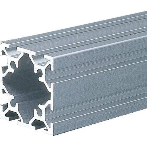 TRUSCO TSF20フレーム40X40-100 ( TSF40402S-100 ) トラスコ中山(株)