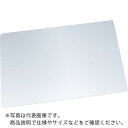 TRUSCO 軽量安全ミラー 245X800mm ( TMPE-2580 ) トラスコ中山(株)