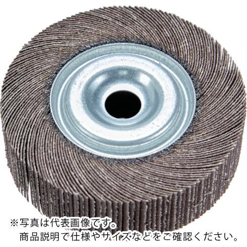 TRUSCO 研磨輪 外径100 幅25 240# 2個入 ( TFW100-25-240 ) トラスコ中山(株)