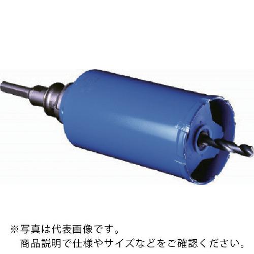 ߥʥ Хåɥɥ å SDSץ饹 140 ( PCGW140R ) ()ߥʥ