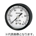 右下精器 汎用圧力計(スターゲージ) ( DT1/4-60X0.1MPa )(4)