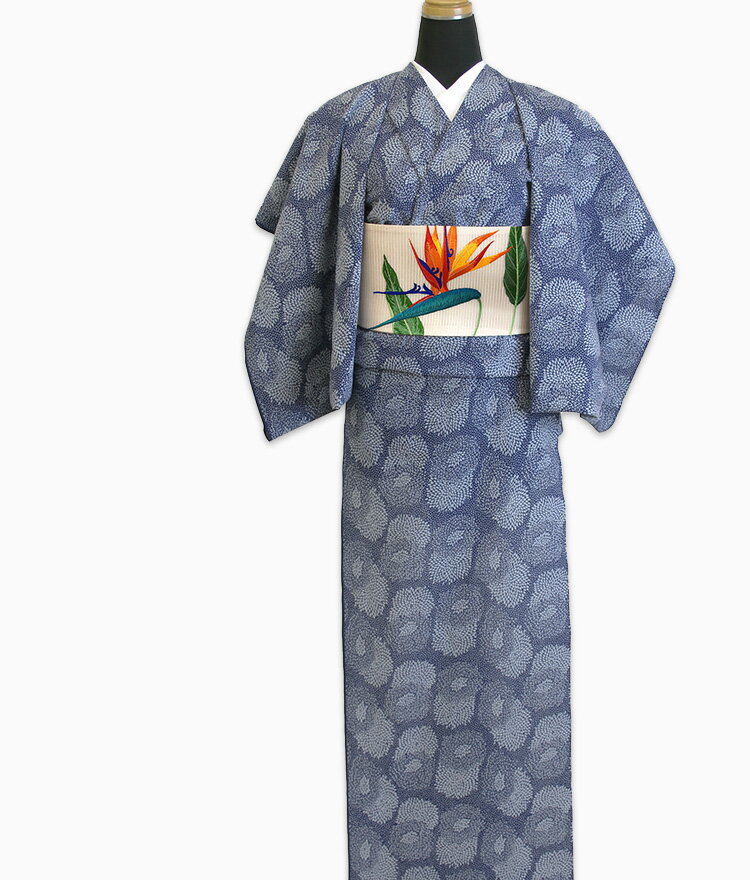 阿波しじら織り 抜染シリーズ 木綿 着物 夏着物 浴衣 コットン着物 単衣きもの《仕立代込み》抜染 霰にむじな菊づくし No.504【受注生産】