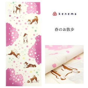 注染 手ぬぐい 【kenema】さくら「春のお散歩 50204」《kenema けねま》生成り/ベージュ/柴犬/いぬ/茶柴/桜/お花見/手拭い/てぬぐい【メール便OK】【MY】